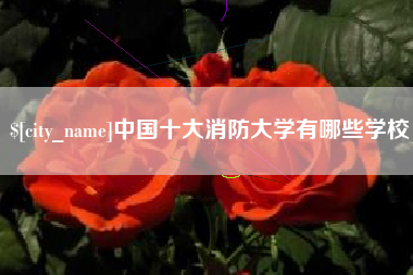 南宁中国十大消防大学有哪些学校