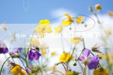 南宁中国队拿几块金牌了