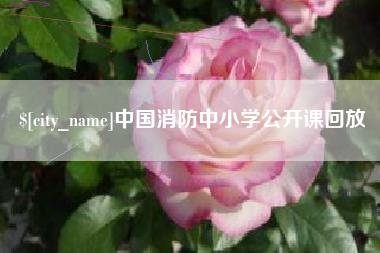 南宁中国消防中小学公开课回放