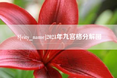 南宁2021年九宫格分解图