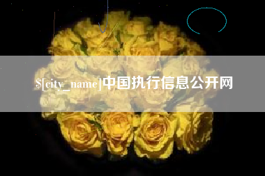 南宁中国执行信息公开网