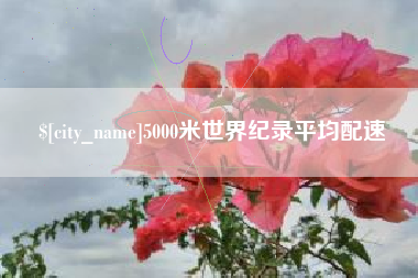 南宁5000米世界纪录平均配速