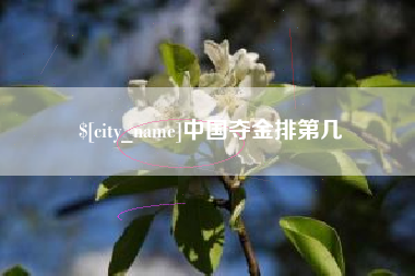 南宁中国夺金排第几