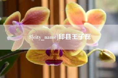 南宁邱县王子磊
