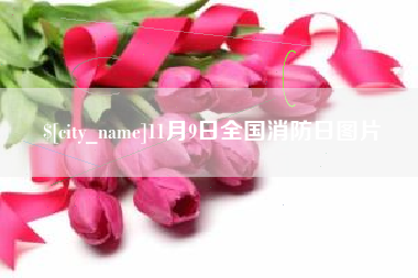 南宁11月9日全国消防日图片