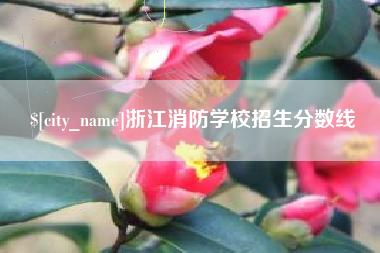 南宁浙江消防学校招生分数线