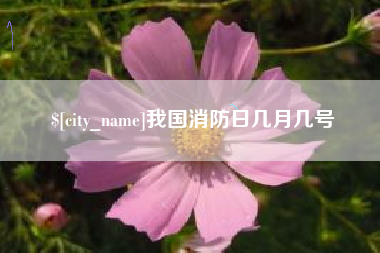 南宁我国消防日几月几号