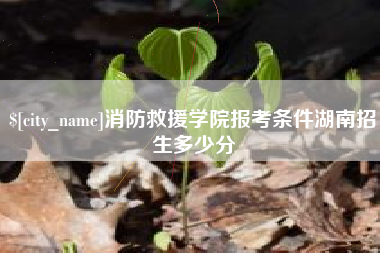 南宁消防救援学院报考条件湖南招生多少分