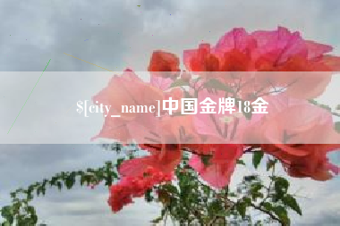 南宁中国金牌18金