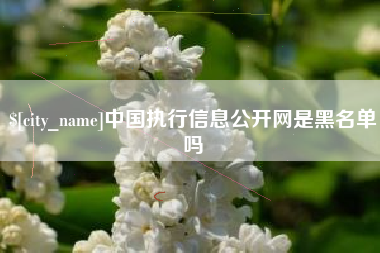 南宁中国执行信息公开网是黑名单吗