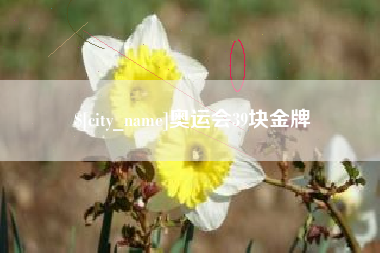 南宁奥运会39块金牌