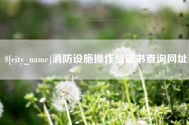 南宁消防设施操作员证书查询网址