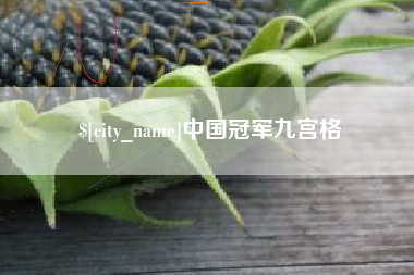 南宁中国冠军九宫格