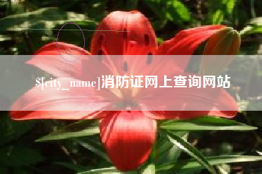 南宁消防证网上查询网站