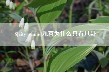 南宁九宫为什么只有八卦
