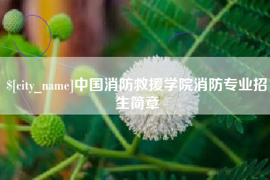 南宁中国消防救援学院消防专业招生简章