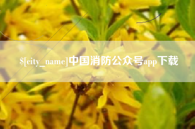 南宁中国消防公众号app下载