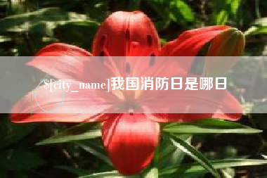 南宁我国消防日是哪日