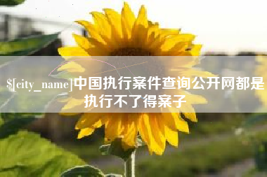 南宁中国执行案件查询公开网都是执行不了得案子