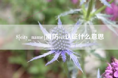 南宁消防ccc认证什么意思