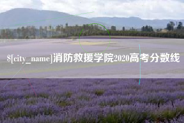 南宁消防救援学院2020高考分数线