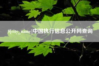 南宁中国执行信息公开网查询