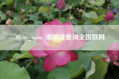 南宁消防证查询全国联网
