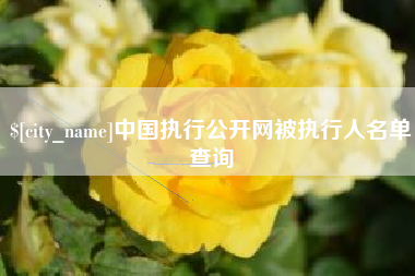 南宁中国执行公开网被执行人名单查询