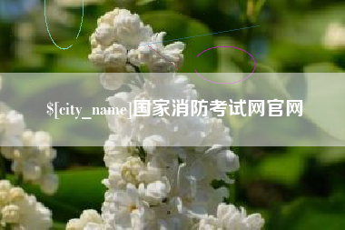 南宁国家消防考试网官网