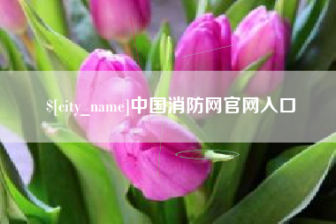 南宁中国消防网官网入口