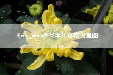 南宁2022年九宫格飞星图