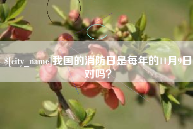 南宁我国的消防日是每年的11月9日对吗？