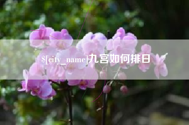 南宁九宫如何排日