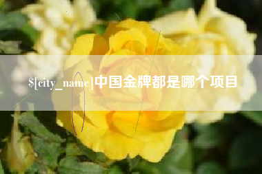 南宁中国金牌都是哪个项目