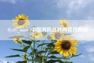 南宁中国消防器材网官方网站