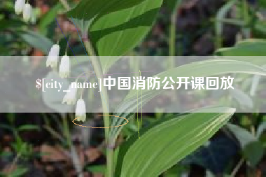 南宁中国消防公开课回放