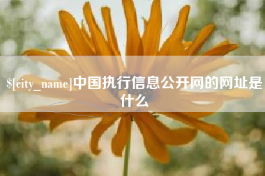 南宁中国执行信息公开网的网址是什么