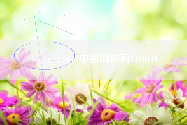 南宁中国消防网1190119