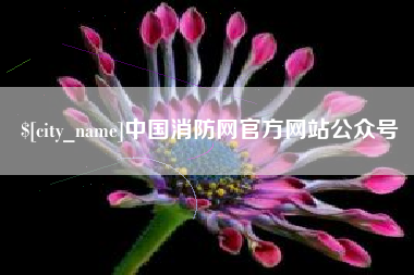 南宁中国消防网官方网站公众号