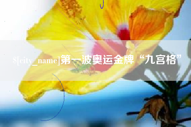 南宁第一波奥运金牌“九宫格”