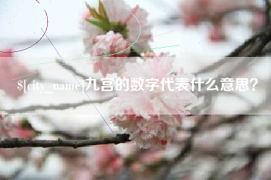 南宁九宫的数字代表什么意思？