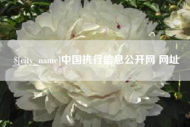 南宁中国执行信息公开网 网址