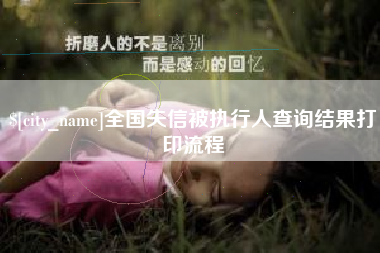 南宁全国失信被执行人查询结果打印流程