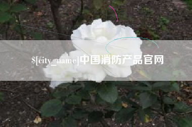 南宁中国消防产品官网