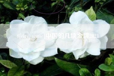 南宁中国的几块金牌2021
