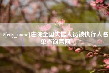 南宁法院全国失信人员被执行人名单查询官网