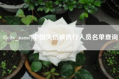 南宁中国失信被执行人员名单查询