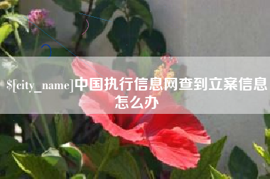 南宁中国执行信息网查到立案信息怎么办