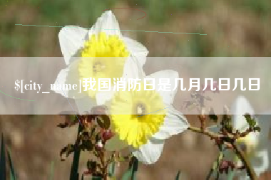 南宁我国消防日是几月几日几日