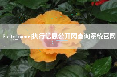 南宁执行信息公开网查询系统官网